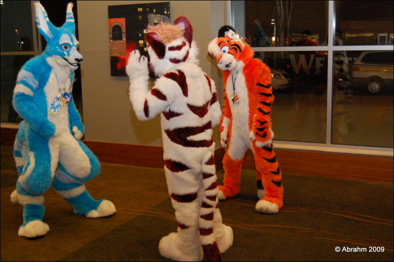 [Abrahm_MFF2009_591.jpg]