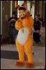 [Abrahm MFF2009 608]