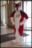 [Abrahm MFF2009 614]