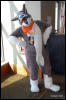 [Abrahm MFF2009 632]