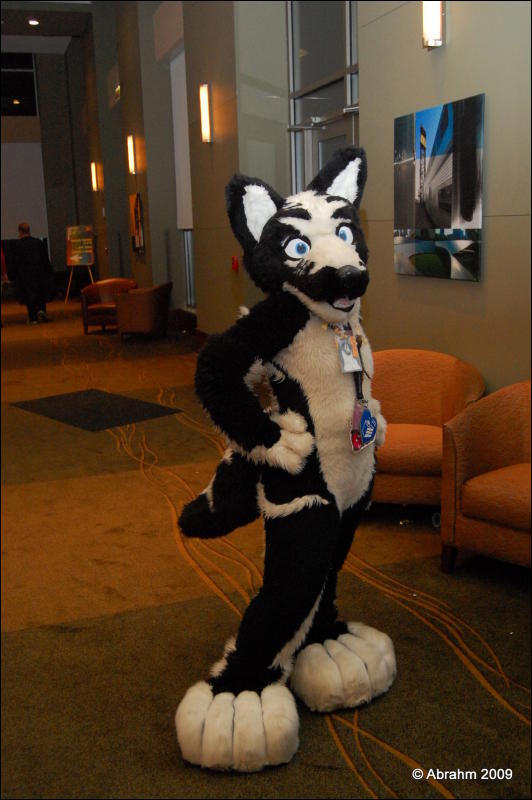 [Abrahm_MFF2009_655.jpg]