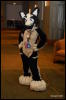 [Abrahm MFF2009 656]