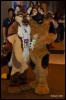 [Abrahm MFF2009 657]