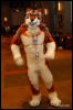 [Abrahm MFF2009 660]