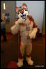 [Abrahm MFF2009 661]