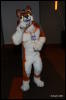 [Abrahm MFF2009 662]