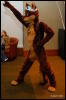 [Abrahm MFF2009 663]