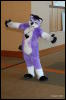 [Abrahm MFF2009 744]