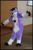 [Abrahm MFF2009 745]