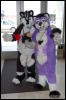 [Abrahm MFF2009 746]