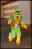 [Abrahm MFF2009 748]