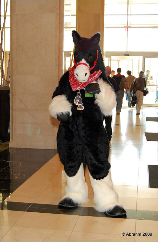 [Abrahm_MFF2009_760.jpg]