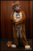 [Abrahm MFF2009 805]