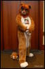 [Abrahm MFF2009 806]