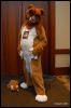 [Abrahm MFF2009 807]