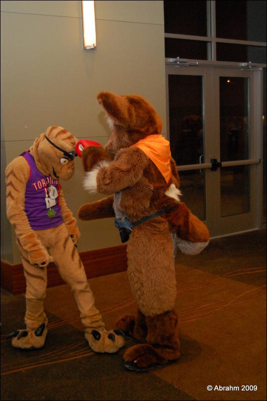 [Abrahm_MFF2009_816.jpg]