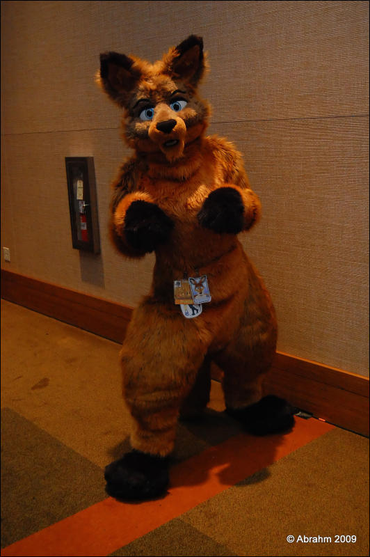 [Abrahm_MFF2009_817.jpg]