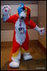 [Abrahm MFF2009 825]