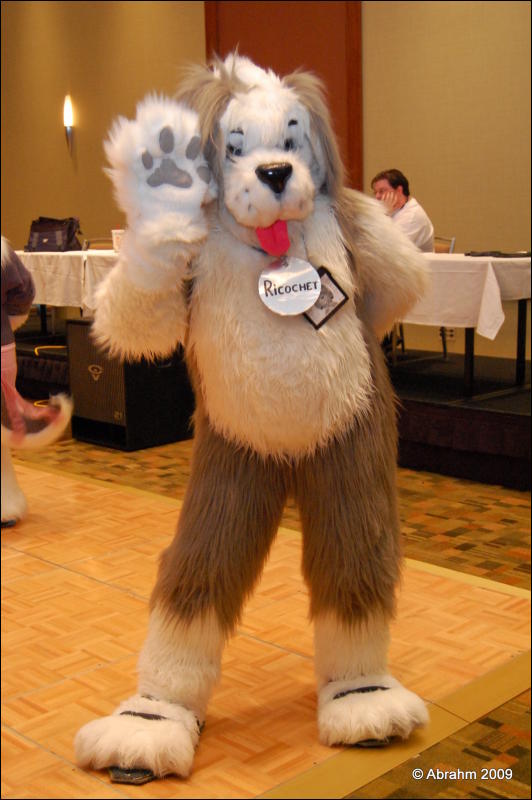 [Abrahm_MFF2009_843.jpg]