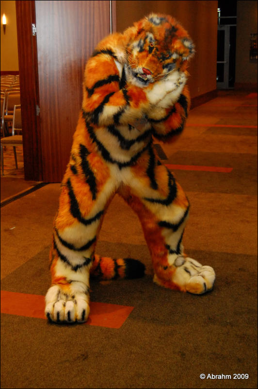 [Abrahm_MFF2009_891.jpg]