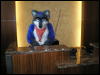 [Kofu MFF2009 022]