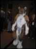 [Kofu MFF2009 059]