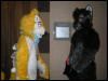 [Kofu MFF2009 061]