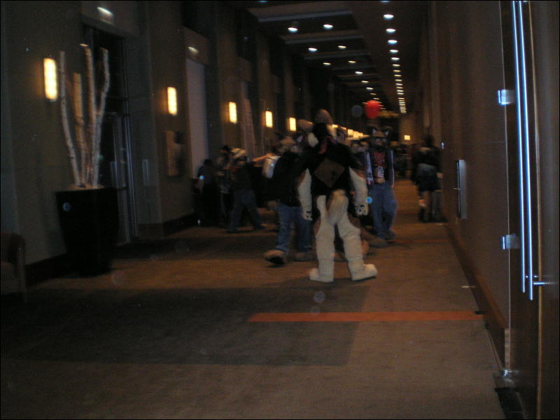 [Kofu_MFF2009_076.jpg]