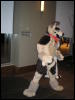 [Kofu MFF2009 089]