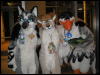 [Kofu MFF2009 091]