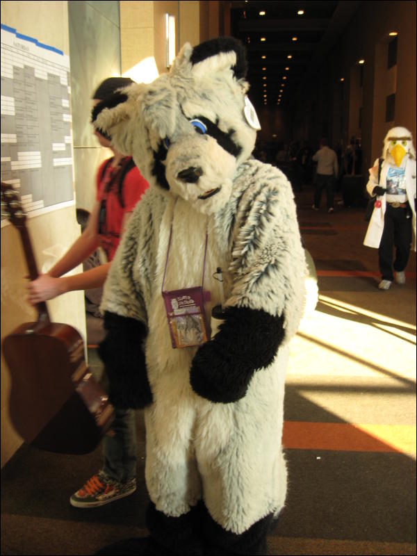 [MacLeod_MFF2009_0918.jpg]