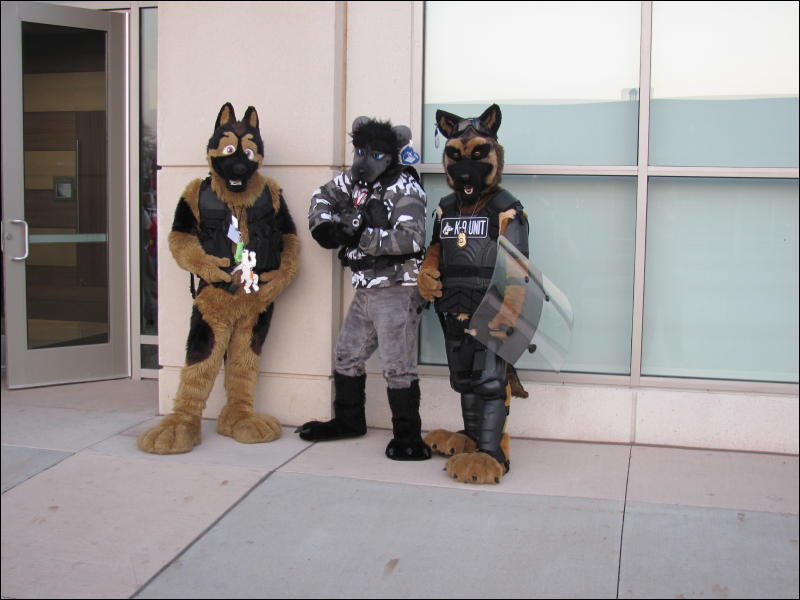 [StuntTiger_MFF2009_023.jpg]