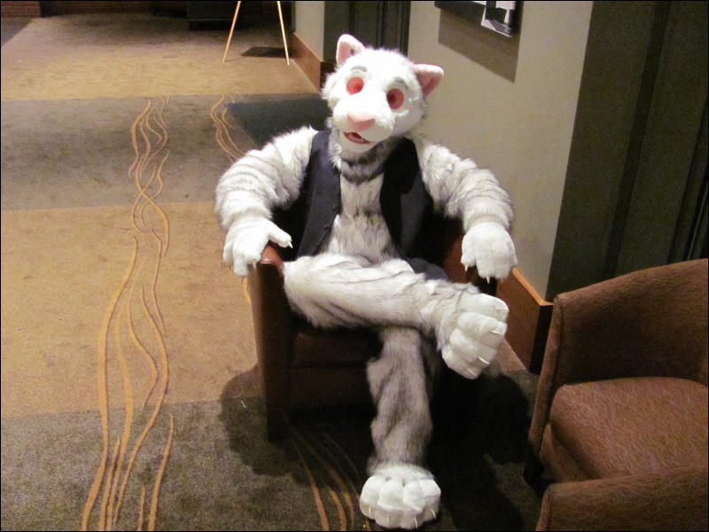 [StuntTiger_MFF2009_025.jpg]