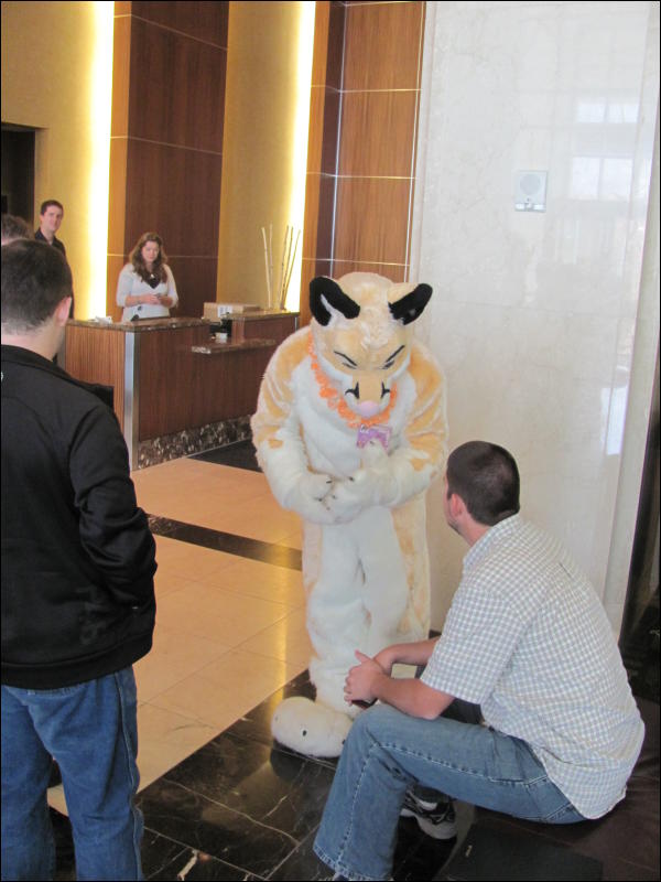 [StuntTiger_MFF2009_030.jpg]