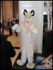 [StuntTiger MFF2009 031]