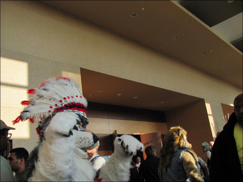 [StuntTiger_MFF2009_036.jpg]