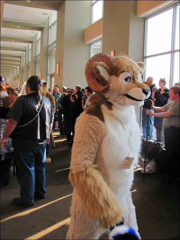 [StuntTiger_MFF2009_057.jpg]