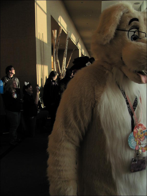 [StuntTiger_MFF2009_065.jpg]