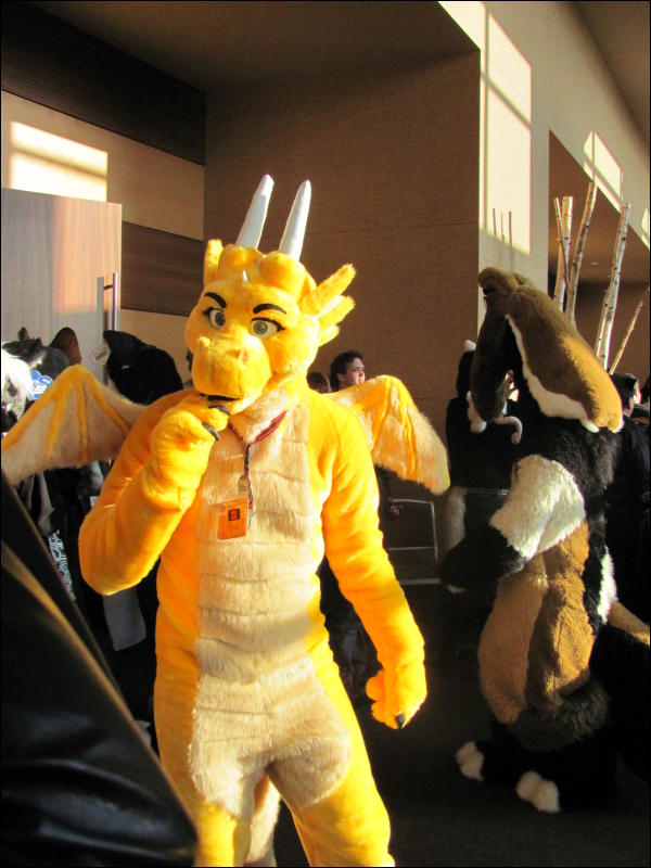 [StuntTiger_MFF2009_069.jpg]