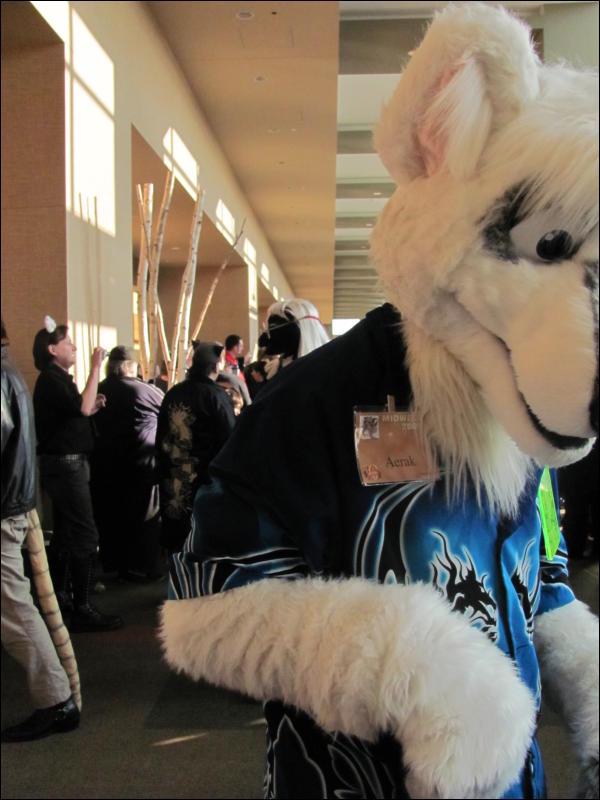 [StuntTiger_MFF2009_072.jpg]