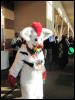 [StuntTiger MFF2009 075]