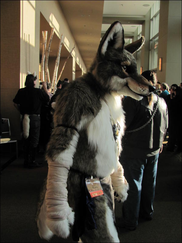 [StuntTiger_MFF2009_076.jpg]