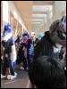 [StuntTiger MFF2009 077]