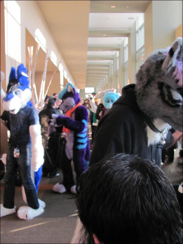 [StuntTiger_MFF2009_077.jpg]