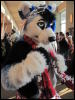 [StuntTiger MFF2009 080]