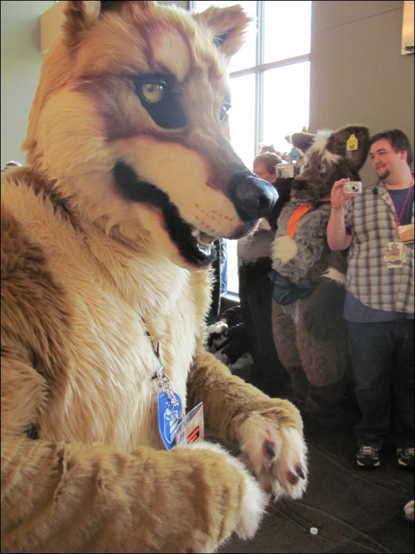 [StuntTiger_MFF2009_086.jpg]