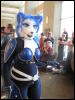 [StuntTiger MFF2009 088]