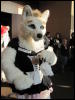 [StuntTiger MFF2009 091]