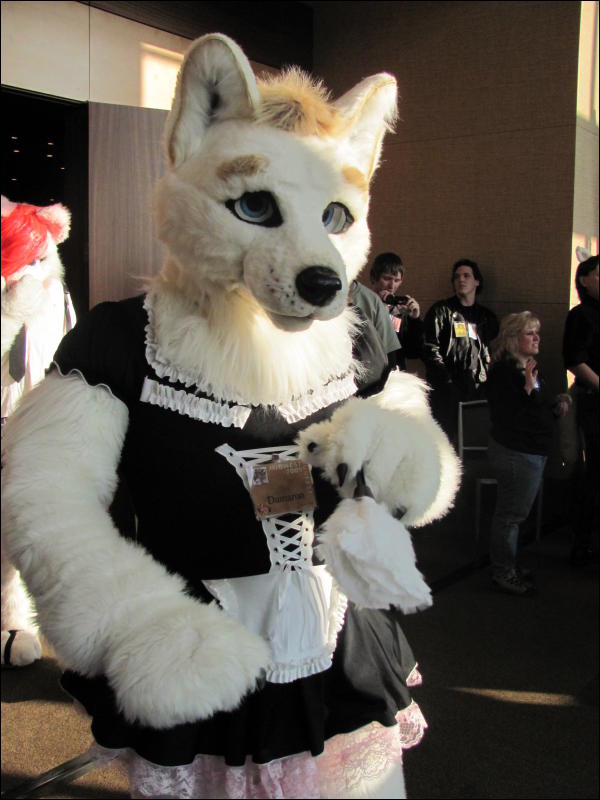 [StuntTiger_MFF2009_091.jpg]