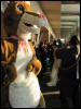 [StuntTiger MFF2009 092]